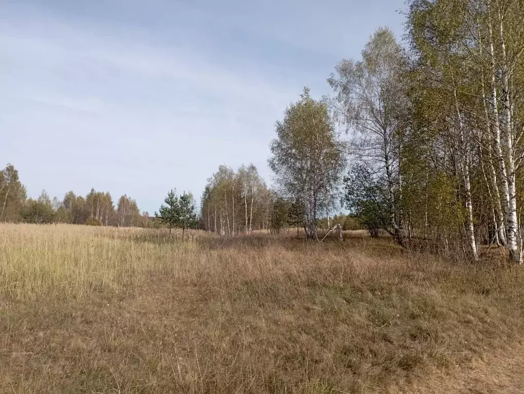 Участок в Владимирская область, Кольчугинский район, Флорищинское ... - Фото 1