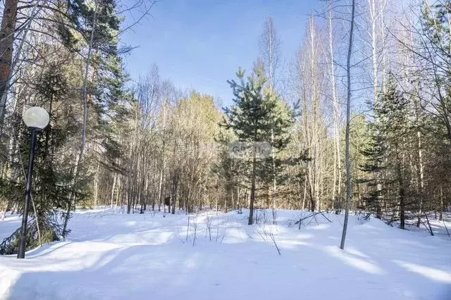 Участок 2,32 га (ИЖС) - Фото 0