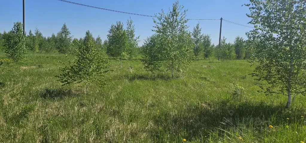 Участок в Московская область, Луховицы  (14.88 сот.) - Фото 1