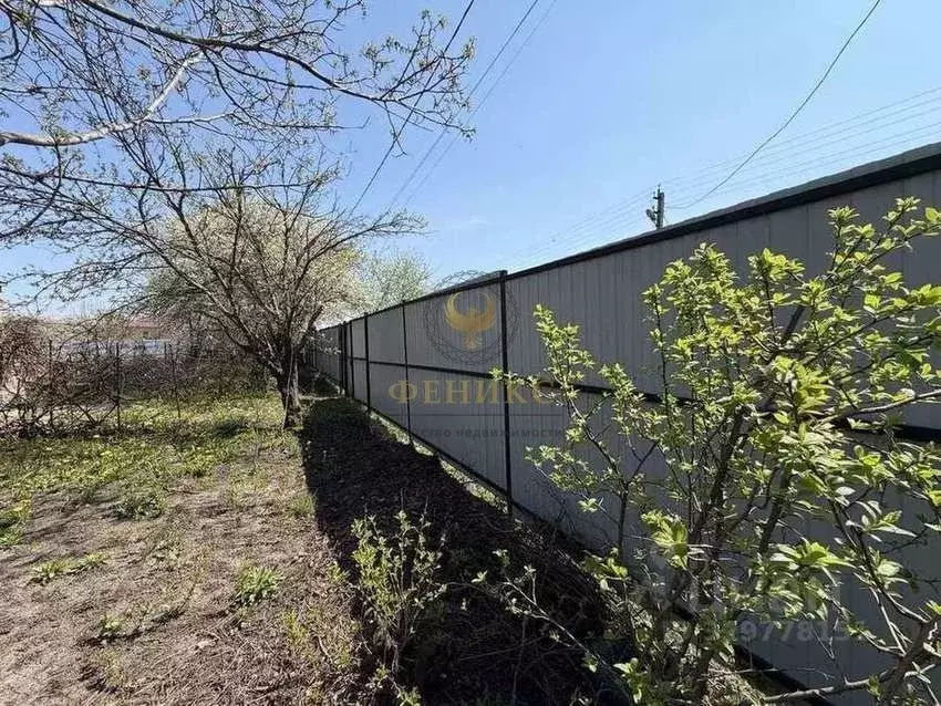 Участок в Белгородская область, Белгородский район, Комсомольское ... - Фото 1