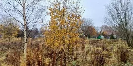 Участок в Московская область, Сергиево-Посадский городской округ, д. ... - Фото 2