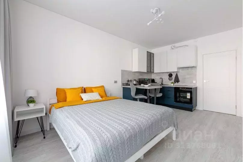 1-к кв. Санкт-Петербург ул. Струве, 10к1 (24.0 м) - Фото 1