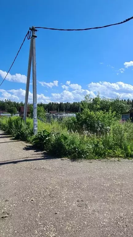Участок в Ленинградская область, Сосновый Бор  (8.0 сот.) - Фото 1