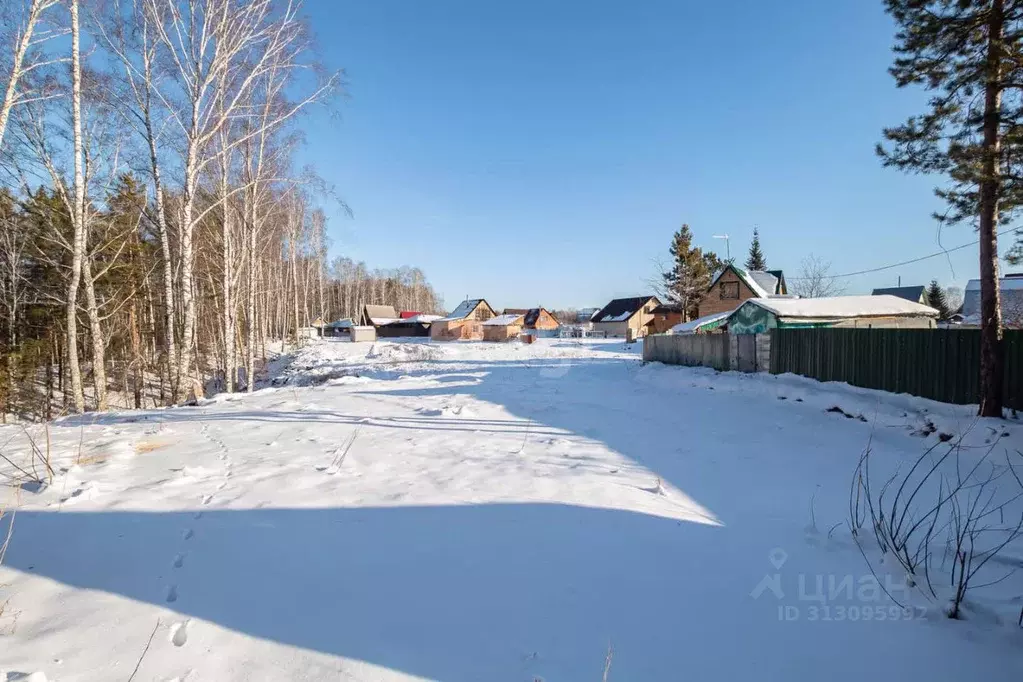 Участок в Новосибирская область, Новосибирский район, Барышевский ... - Фото 1