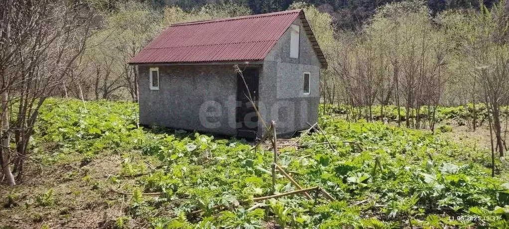 Участок в Сахалинская область, Невельск  (100.0 сот.) - Фото 1