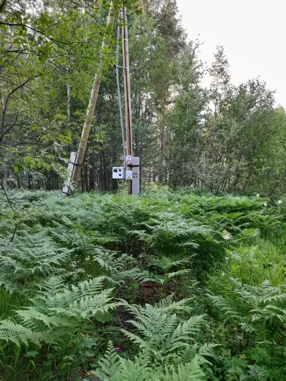 Участок в Свердловская область, Ревда городской округ, с. Кунгурка ул. ... - Фото 1