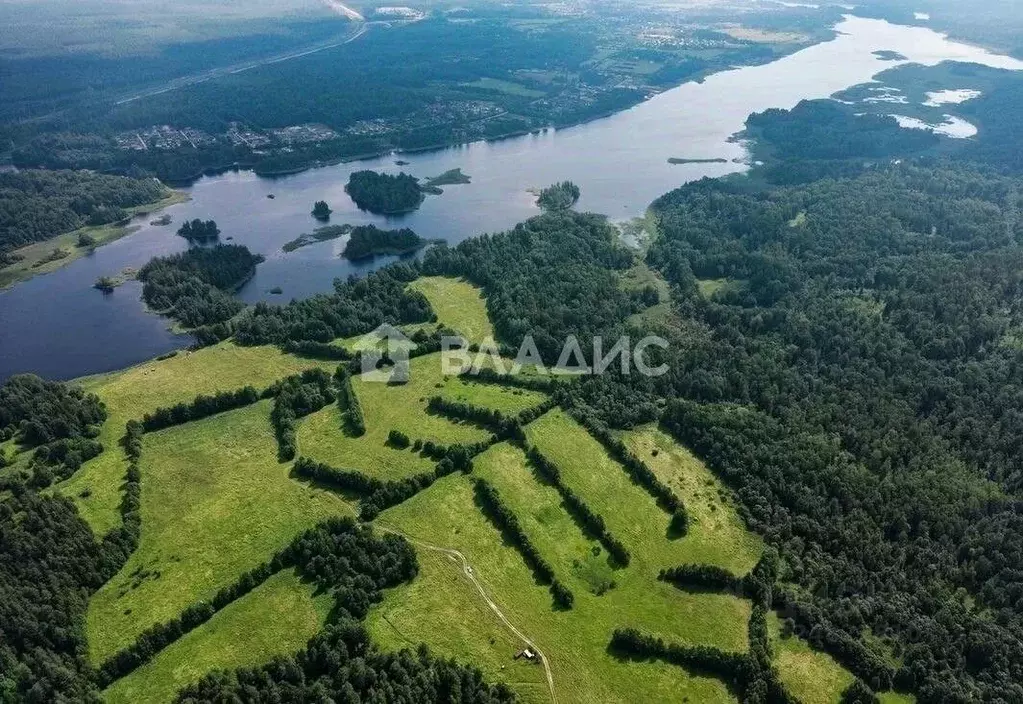 Участок в Ленинградская область, Приозерский район, Ромашкинское ... - Фото 1