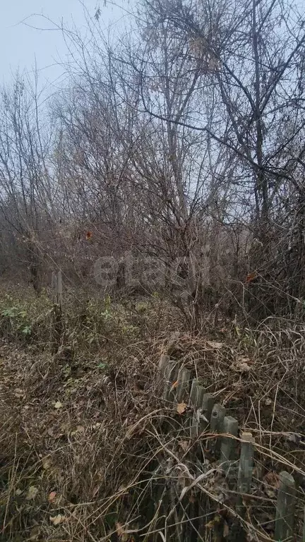 Участок в Воронежская область, Семилукский район, с. Латное Солнечная ... - Фото 2