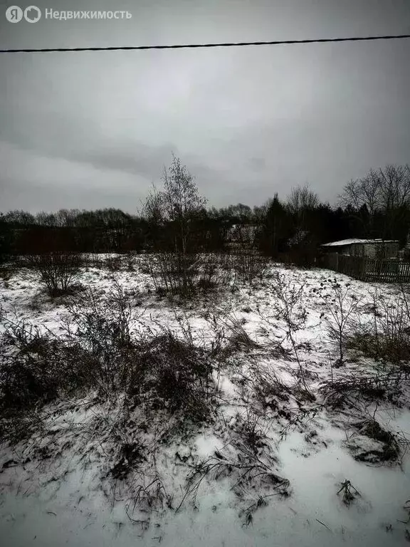 Участок в Новгородская область, Маловишерское городское поселение, ... - Фото 1