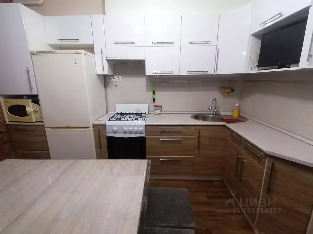 1-к кв. Псковская область, Псковский район, Завеличенская волость, д. ... - Фото 2