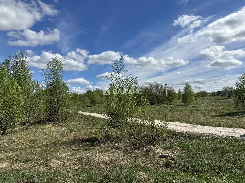 Участок в Нижегородская область, Богородский муниципальный округ, с. ... - Фото 2