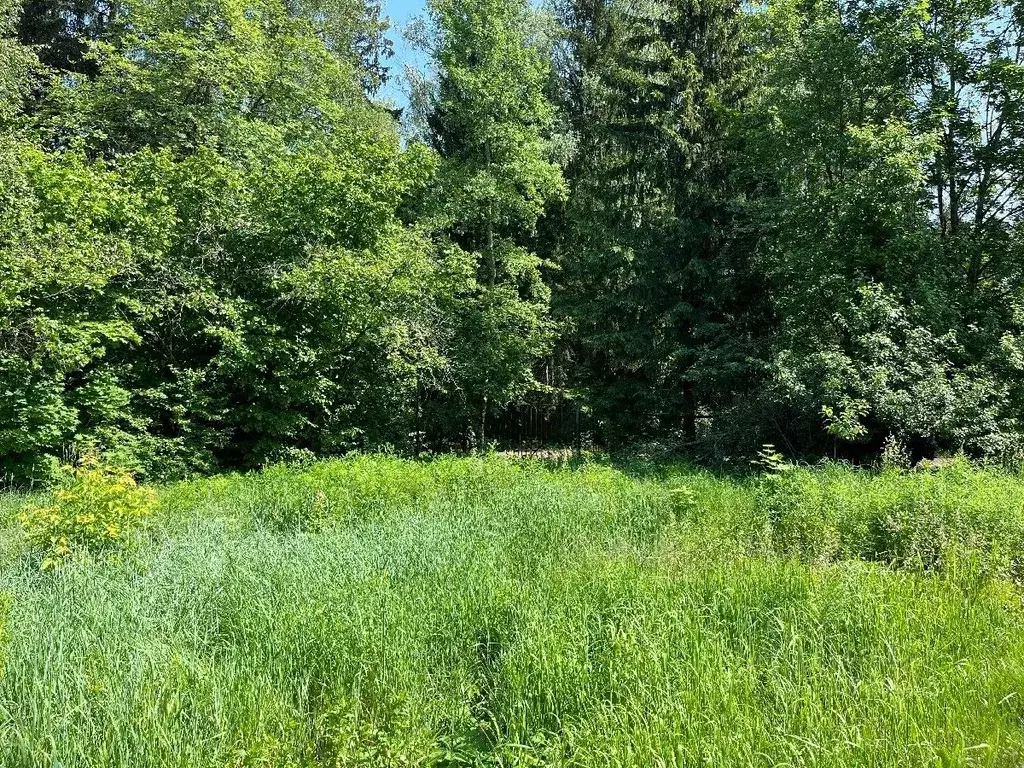 Участок в Московская область, Мытищи городской округ, пос. Трудовая ... - Фото 2