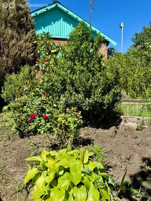 Дом в Синявское сельское поселение, хутор Мержаново, СНТ Голубые Ели, ... - Фото 2