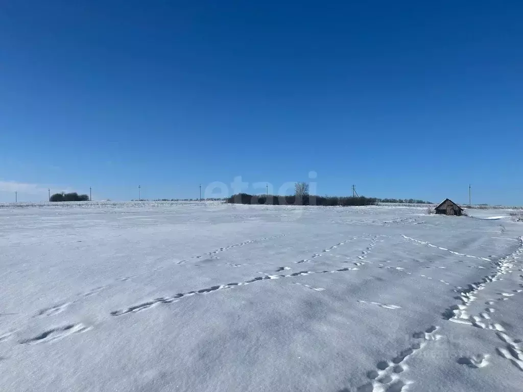 Участок в Белгородская область, Прохоровский район, с. Коломыцево  ... - Фото 1