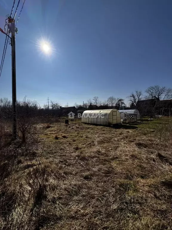 Участок в Калининградская область, Зеленоградск пос. Вишневое, ул. ... - Фото 2