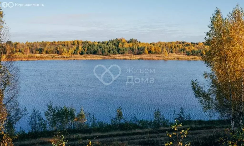 Участок в Астраханская область, городское поселение Ахтубинск (901.82 ... - Фото 2