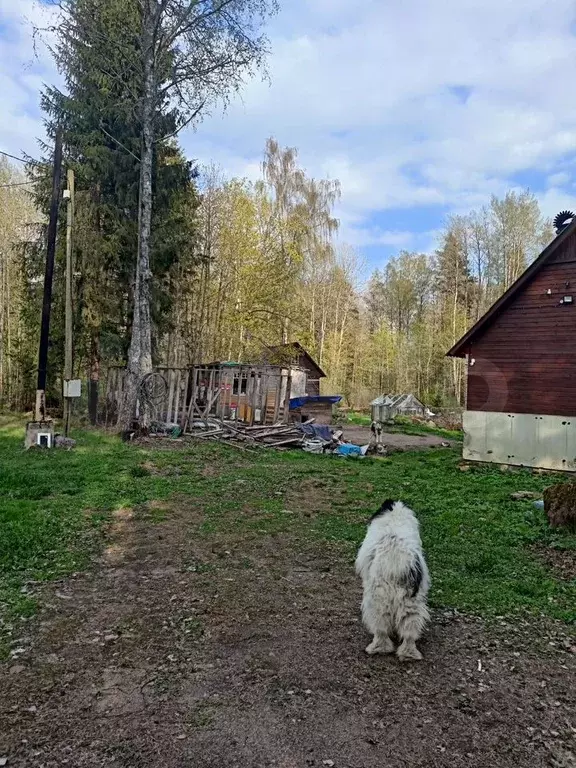 Участок 5 сот. (ИЖС) - Фото 0