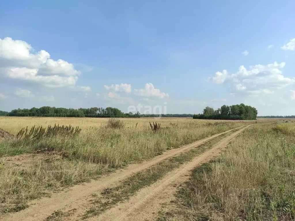 Участок в Тюменская область, Тюменский район, Новокаменский кп ул. ... - Фото 0