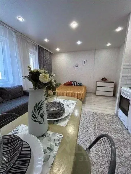 1-к кв. Татарстан, Казань ул. Рауиса Гареева, 103 (30.0 м) - Фото 1