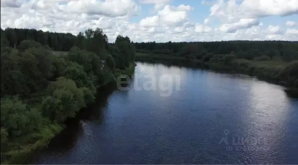 Участок в Архангельская область, Устьянский муниципальный округ, ... - Фото 1
