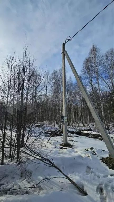 Участок в Тюменская область, Нижнетавдинский муниципальный округ, ... - Фото 1