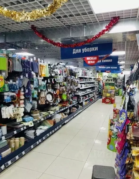 Торговая площадь в Москва ул. Маршала Полубоярова, 4к1 (261 м) - Фото 0