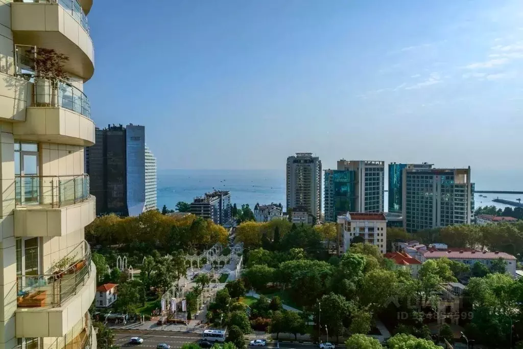 3-к кв. Краснодарский край, Сочи Центральный мкр, ул. Нагорная, 11 ... - Фото 2