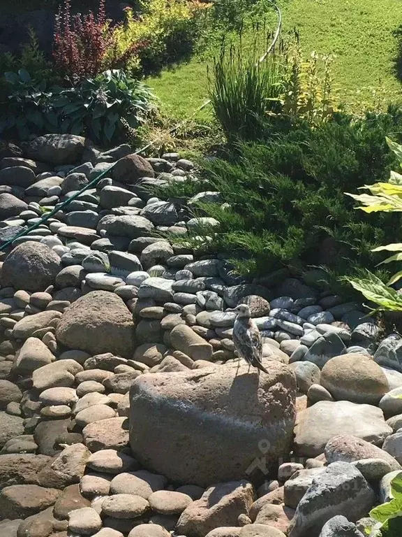 Коттедж в Ленинградская область, Волосовский район, Калитинское с/пос, ... - Фото 2