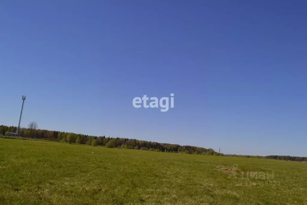 Участок в Ленинградская область, Ломоносовский район, Лопухинское ... - Фото 0