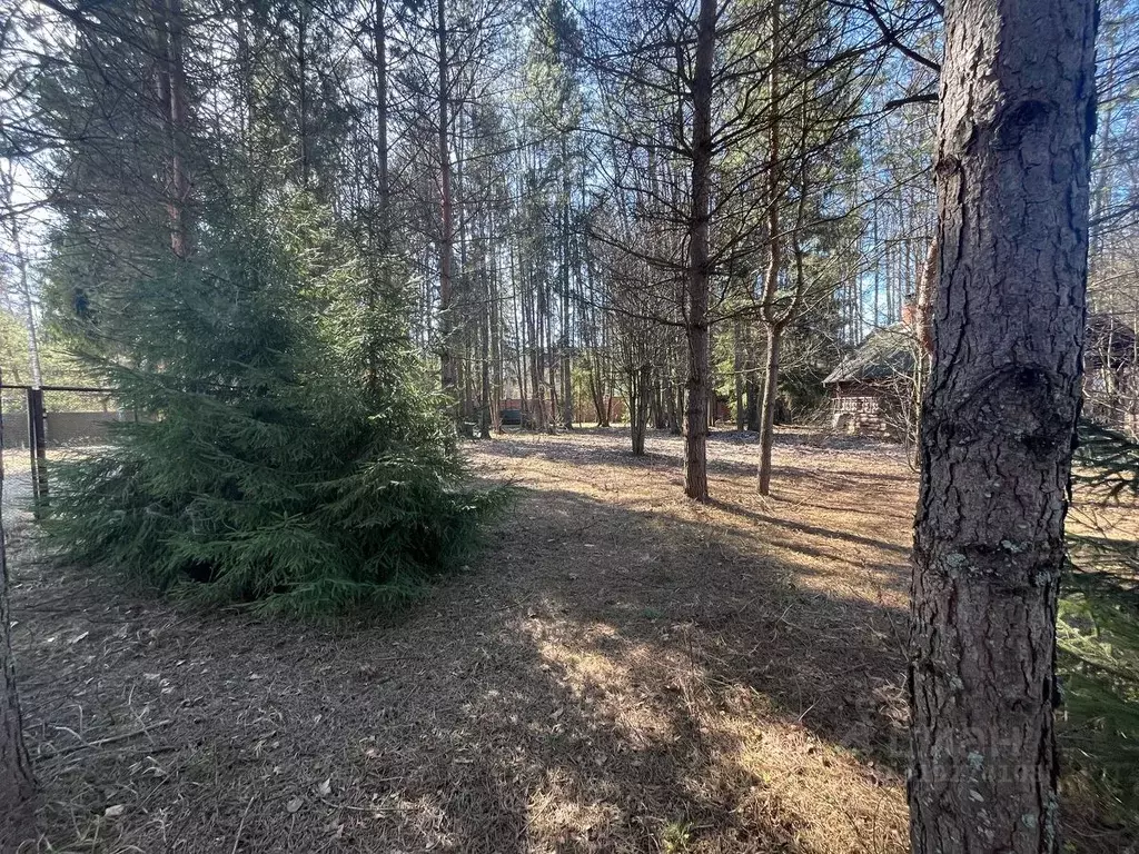 Участок в Московская область, Одинцовский городской округ, Гранат СНТ ... - Фото 0
