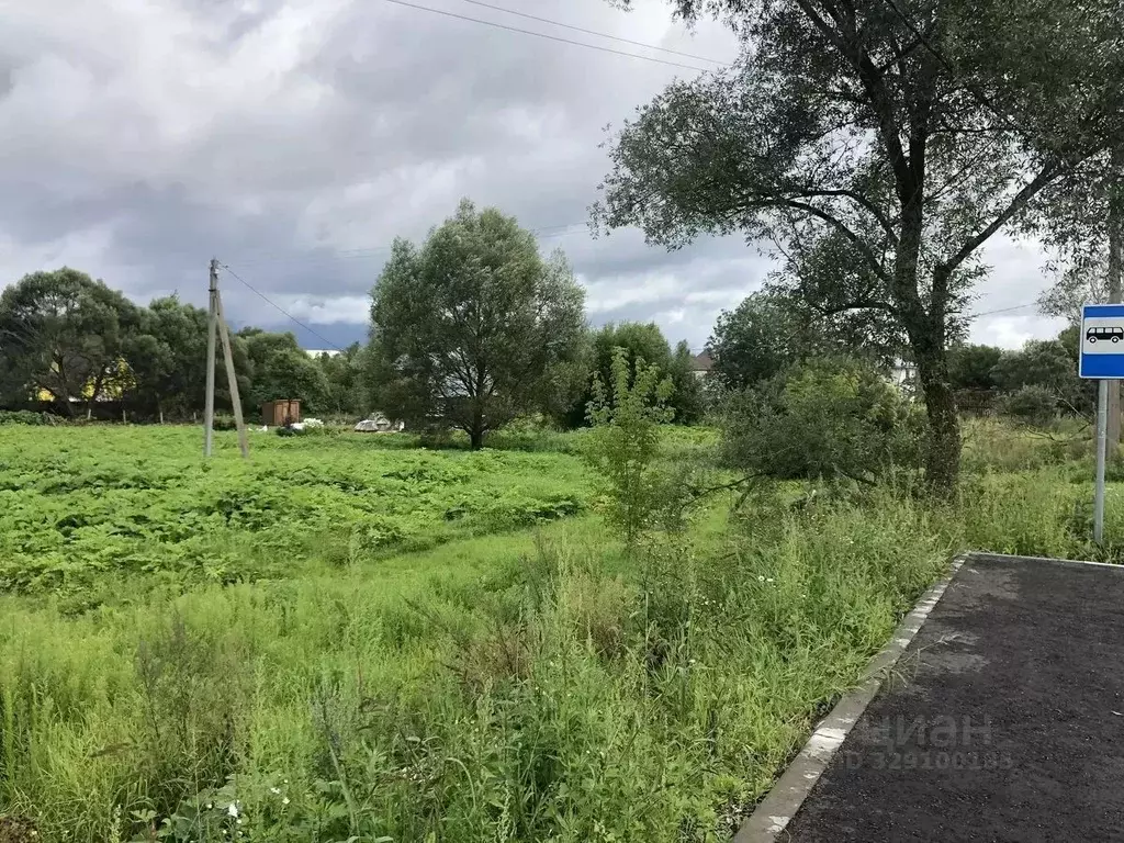 Участок в Московская область, Рузский муниципальный округ, д. Иваново  ... - Фото 2