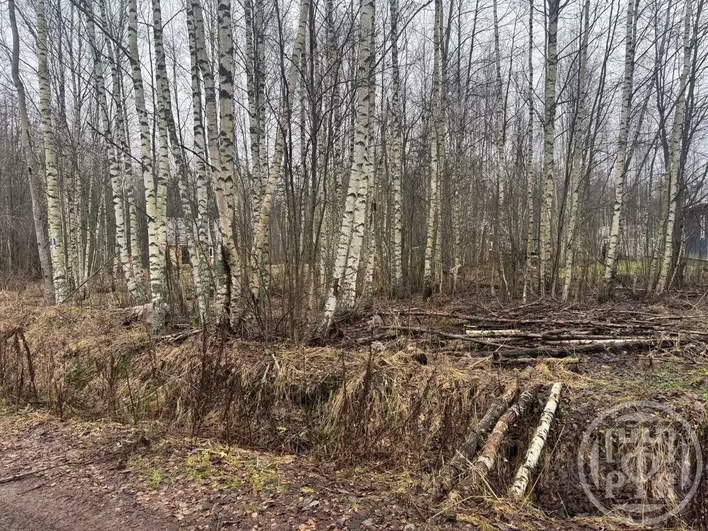 Участок в Ленинградская область, Ломоносовский район, Пениковское ... - Фото 2
