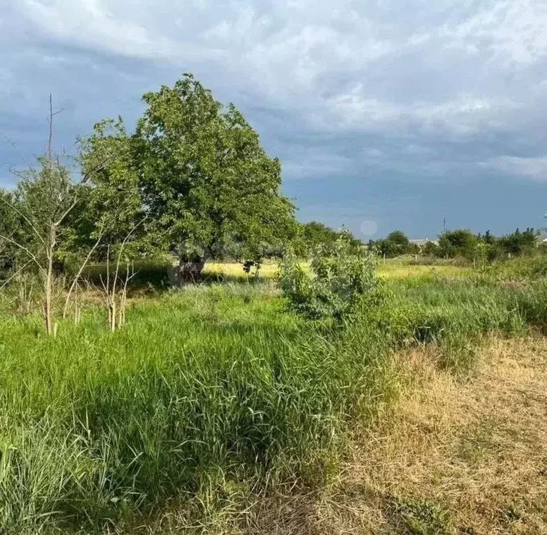 Участок в Ростовская область, Багаевский район, Манычская ст-ца ул. ... - Фото 1