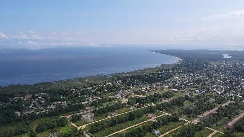 Участок в Ленинградская область, Всеволожский район, Рахьинское ... - Фото 1