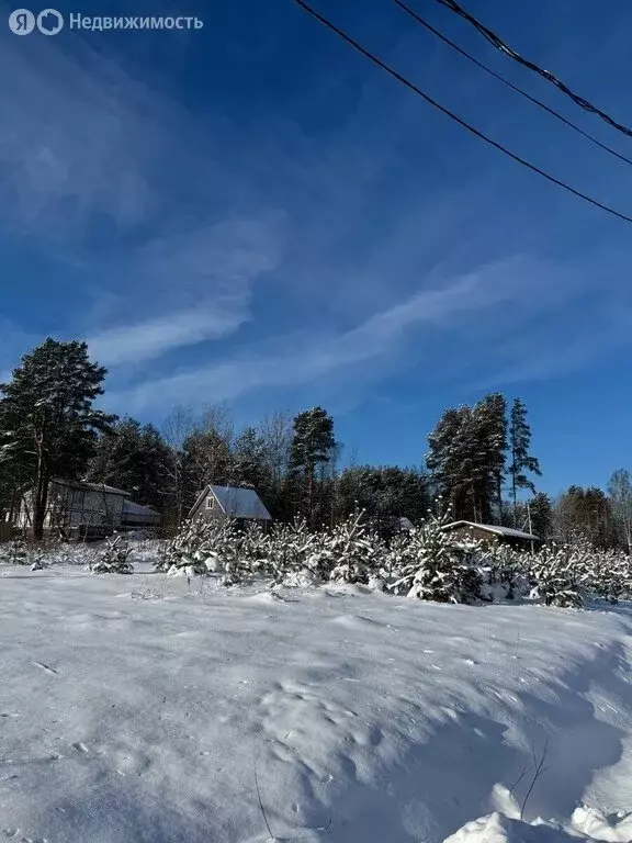 Участок в посёлок Ленинское, КП У реки Сестры (44 м) - Фото 1