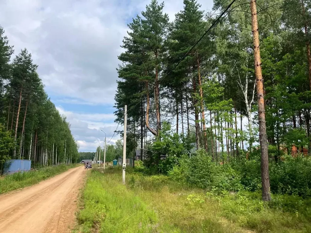 Участок в Ярославская область, Некрасовское с/пос, д. Лобастово, ... - Фото 1