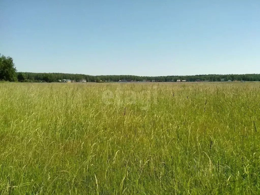 Участок в Брянская область, Стародубский муниципальный округ, с. ... - Фото 1