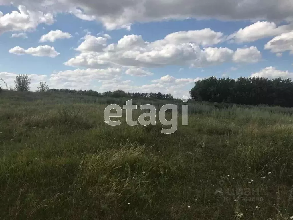 Купить Дом Рогачевка Новоусманский Район