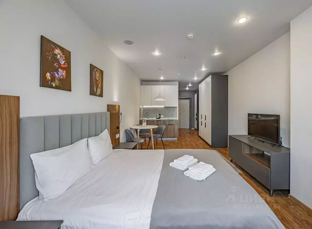 Студия Санкт-Петербург 2-й Муринский просп., 36 (29.0 м) - Фото 1