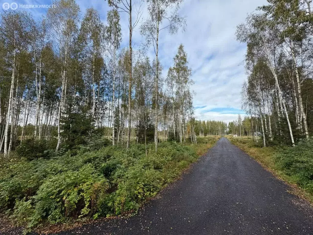 Участок в Куйвозовское сельское поселение, КП Грузино сити (5 м) - Фото 1