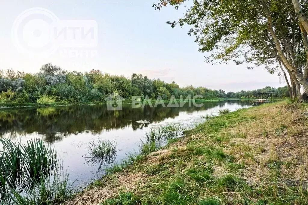 Участок в Воронежская область, Хохольский район, Новогремяченское ... - Фото 1