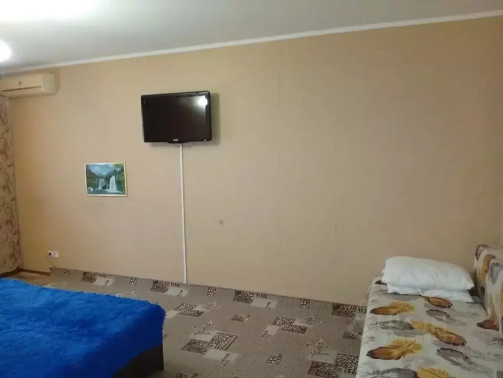 1-к кв. Саратовская область, Саратов ул. Имени С.Ф. Тархова, 27Б (39.0 ... - Фото 1