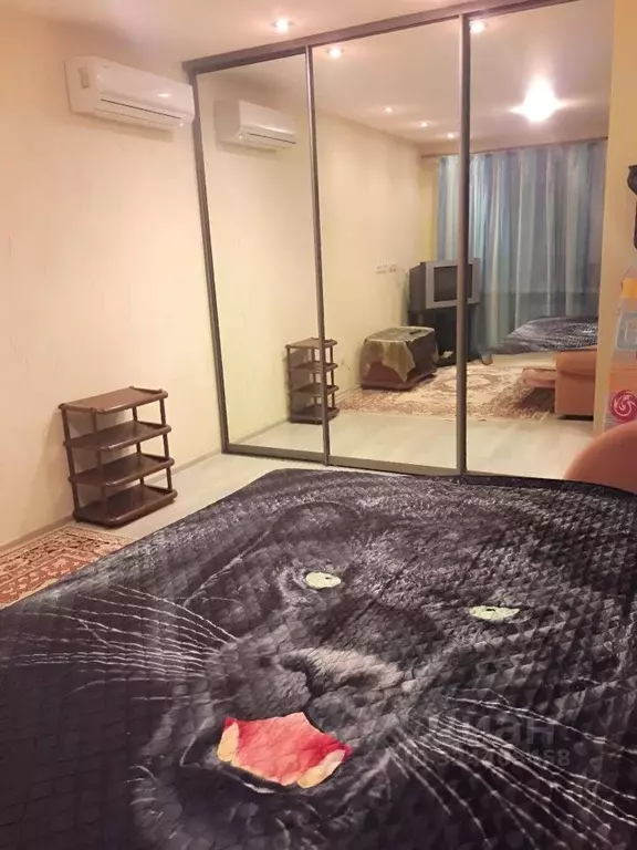 1-к кв. Волгоградская область, Волгоград ул. Николая Отрады, 26 (30.0 ... - Фото 1