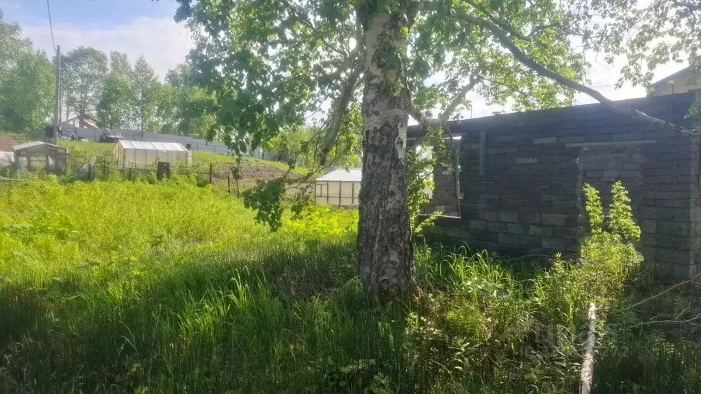 Участок в Камчатский край, Елизово ул. Беринга, 10 (5.56 сот.) - Фото 2
