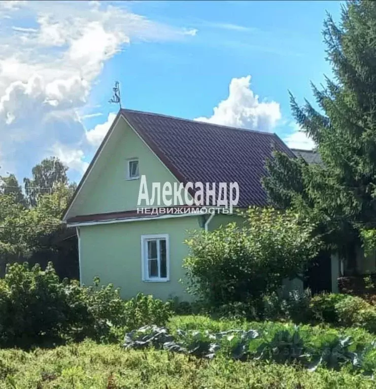 Дом в Санкт-Петербург пос. Белоостров, СИЗ СНТ, дор. 6-я (38 м) - Фото 0