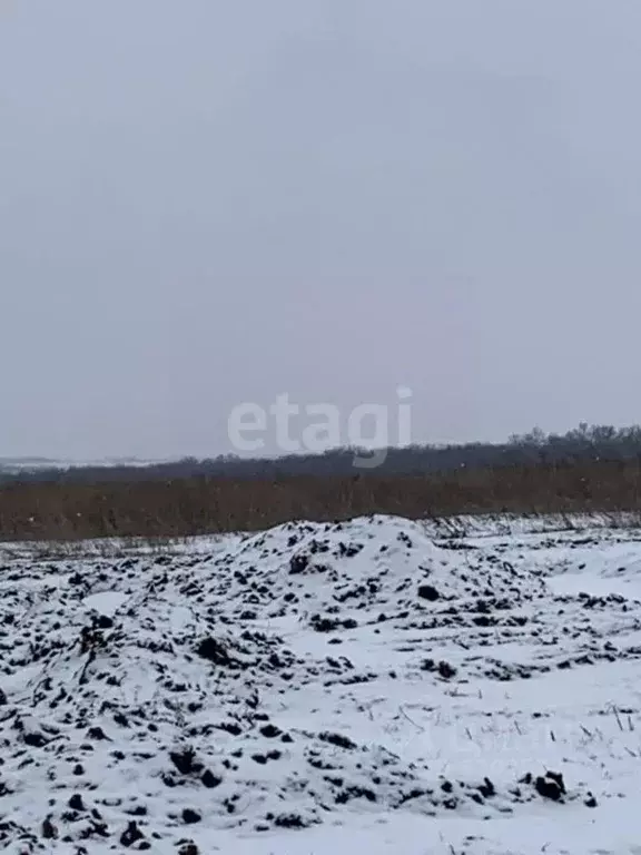Участок в Белгородская область, Белгородский район, Головинское с/пос, ... - Фото 1