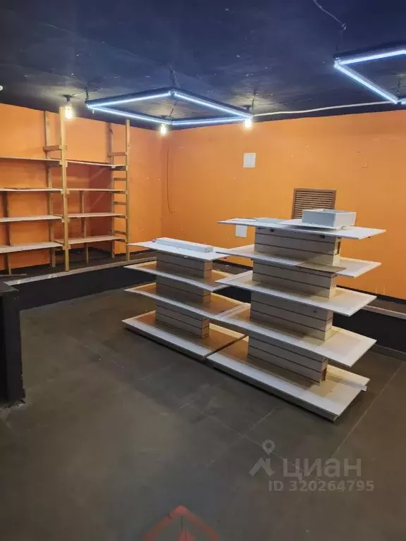 Помещение свободного назначения в Кировская область, Киров ... - Фото 2