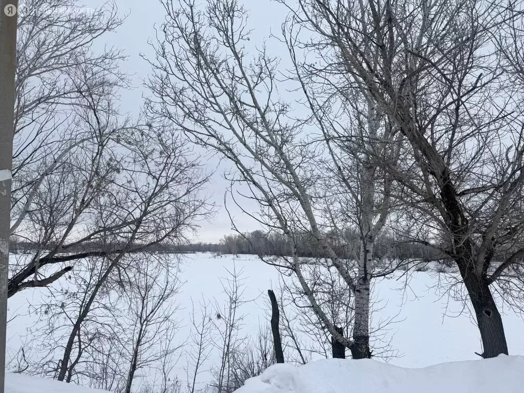 Участок в Оренбург, СНТСН Мичуринец, улица 2-я Линия, 56 (8 м) - Фото 2