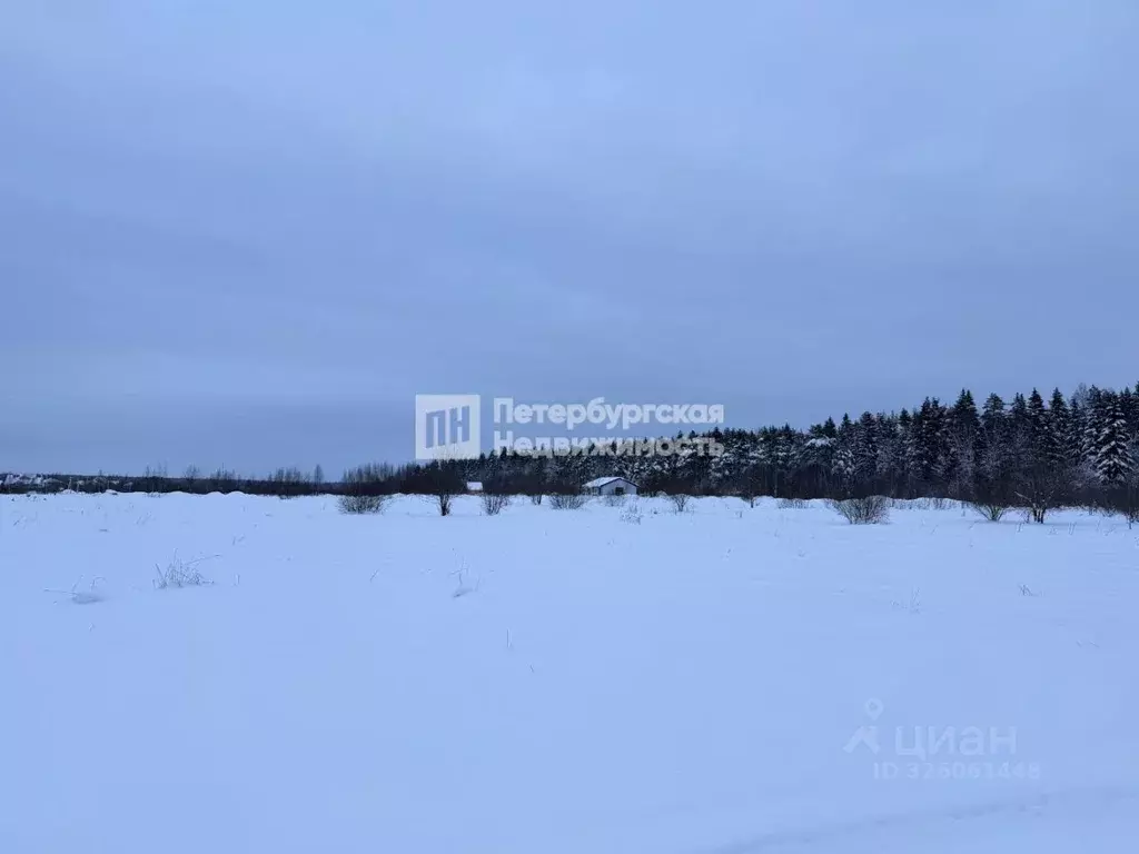 Участок в Ленинградская область, Отрадное Кировский район, пос. ... - Фото 1