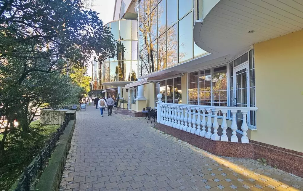 Помещение свободного назначения в Краснодарский край, Сочи Центральный ... - Фото 1